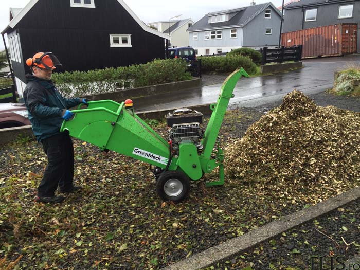 FLIS GREINKVØRN KVØRNA MALA BARK DEKKBARK